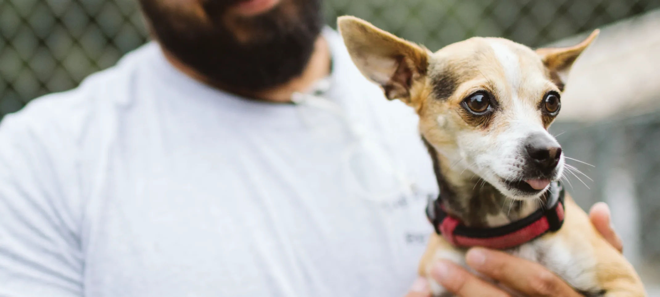 Staff holding dog